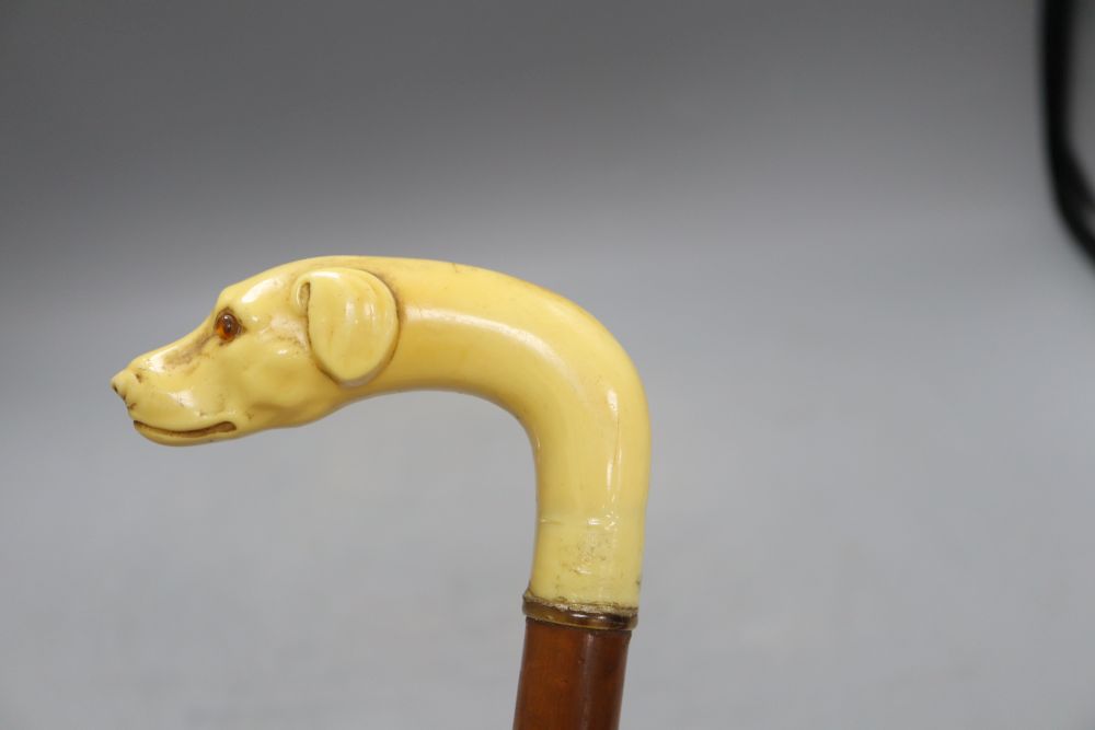 A carved ivory dogs head walking stick, c.1860, length 33cm